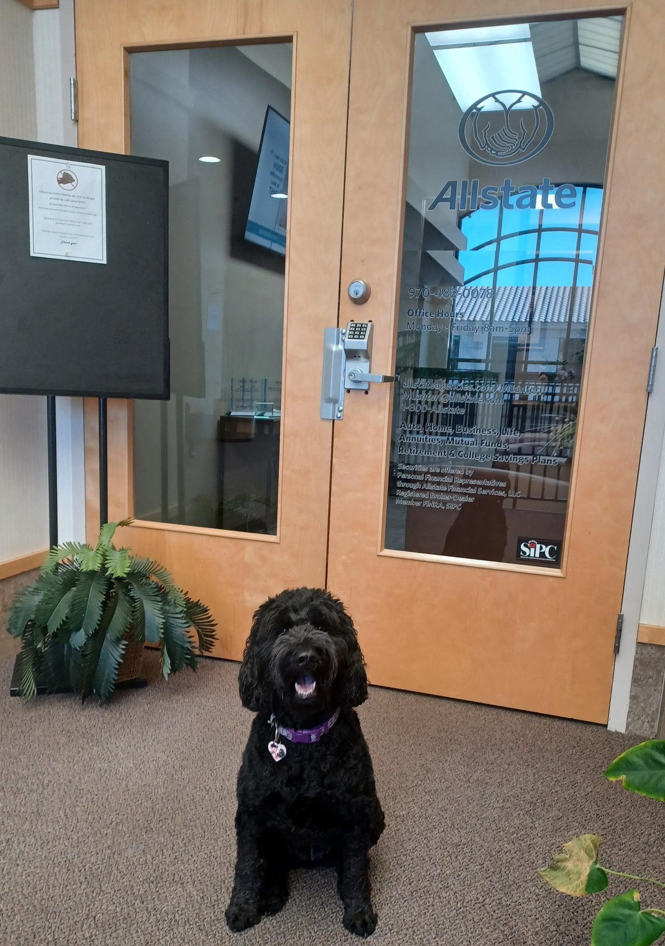 Thompson Insurance Agency Fort Collins, CO