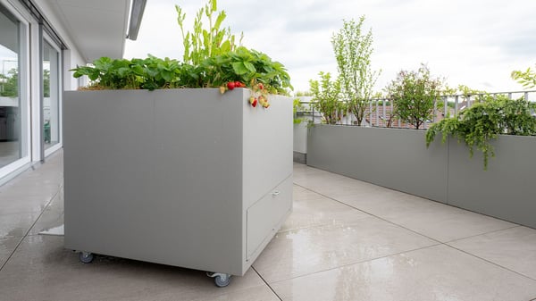 https://gartenimeinklang.ch/