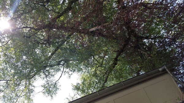 Sturmschäden bergen