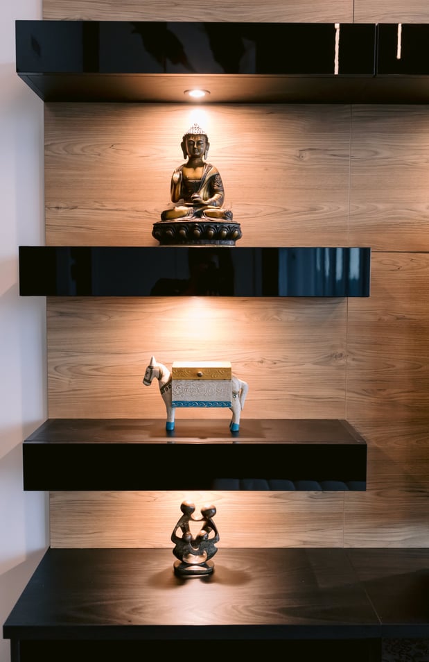 Close up of acrylic display shelving built into media centre.