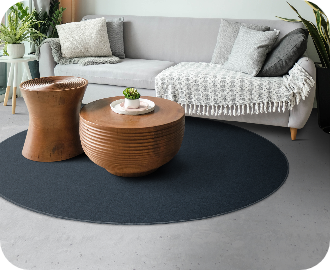 Rug in living room