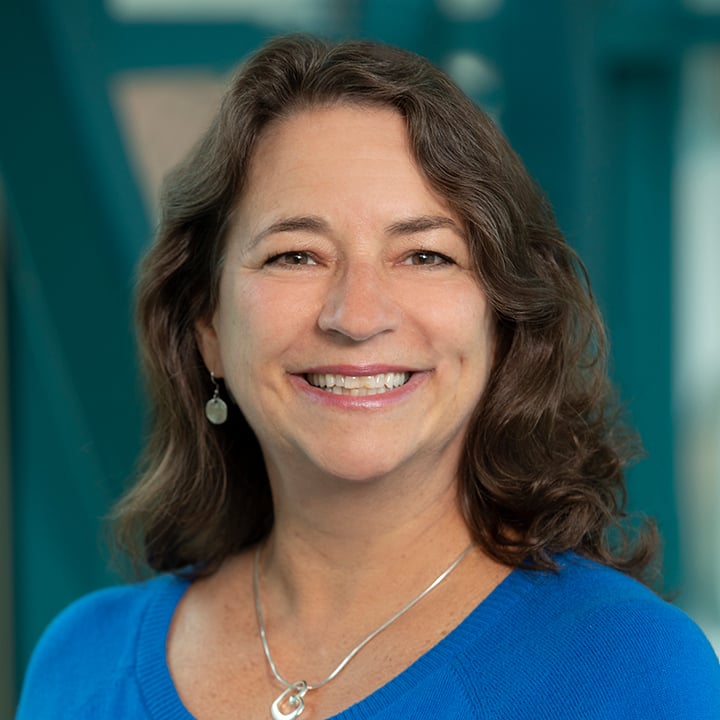 Michelle Streb, NP - Beacon Medical Group Schwartz-Wiekamp