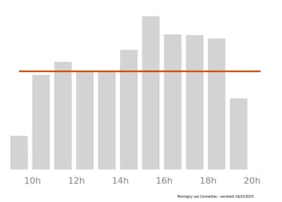 Voir le trafic sur Google maps https://maps.google.com/maps?cid=1571207914099451281