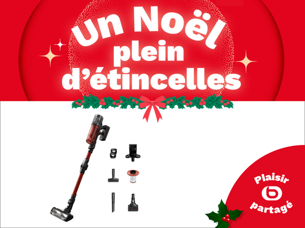 Aspirateur balai ROWENTA X Force Flex 13.60 animal RH9A73WO