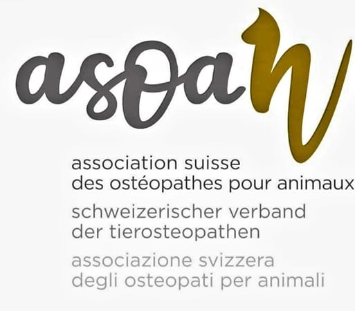 Membre de l'Association Suisse des Ostéopathes pour Animaux (ASOAn).