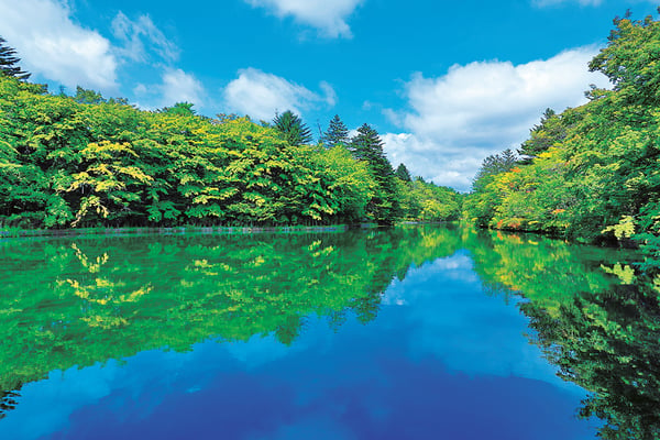 季節によってさまざまな絶景が