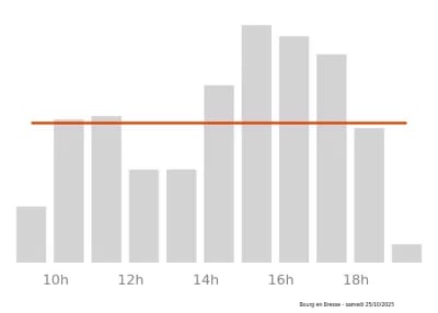 Voir le trafic sur Google maps https://maps.google.com/maps?cid=770562480819752662