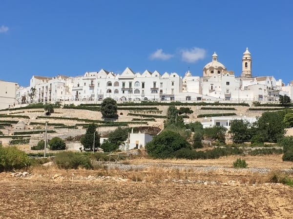 ロコロトンドのイメージ