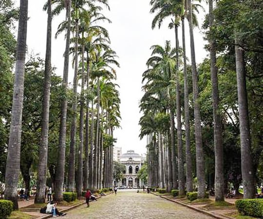 Pizzarias perto da Praça do Papa em Belo Horizonte!