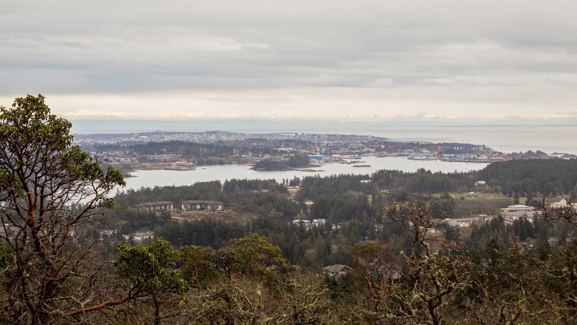 Seaside view of Victoria city from Mill Hill in Colwood, British Columbia.