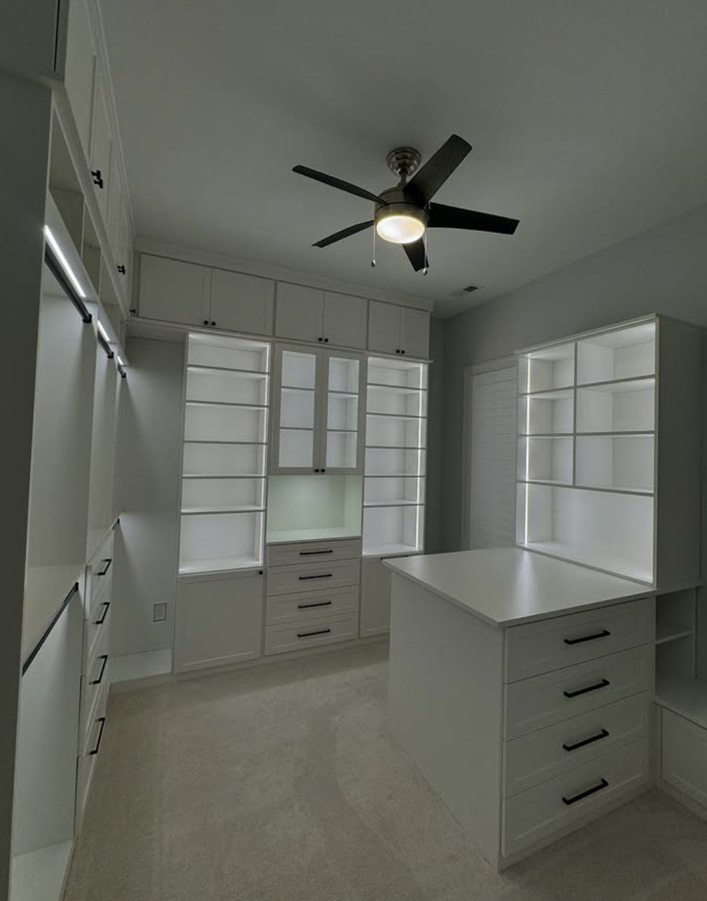 White walk-in closet with adjustable lighting.