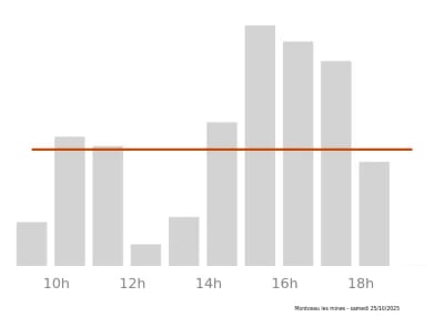 Voir le trafic sur Google maps https://maps.google.com/maps?cid=3901256518178086255