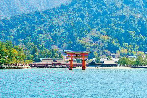 衝撃特価 厳島 www.shinei-sw.jp