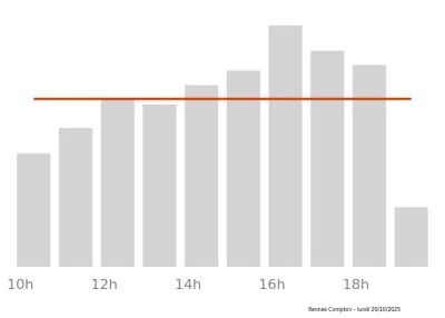 Voir le trafic sur Google maps https://maps.google.com/maps?cid=13379969710534050542