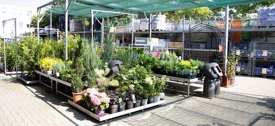 Dein OBI Markt Wittenberg, Dessauer Str. 12