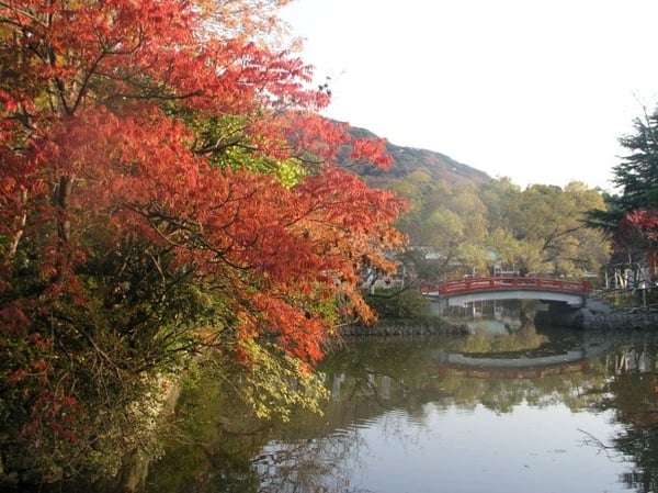 【神奈川県】鎌倉を代表する観光スポット・鶴岡八幡宮の巡り方
