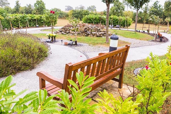 A memorial bench looks out onto a garden of remembrance