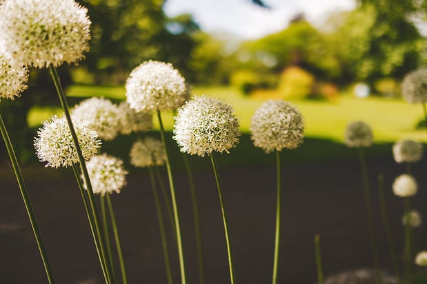 E.H. Crouch Funeral Directors, Here for your Family