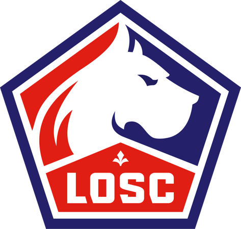 Partenaire du LOSC football