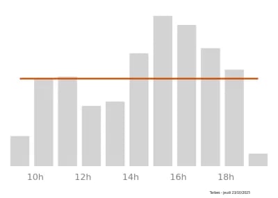 Voir le trafic sur Google maps https://maps.google.com/maps?cid=13572818869720265240