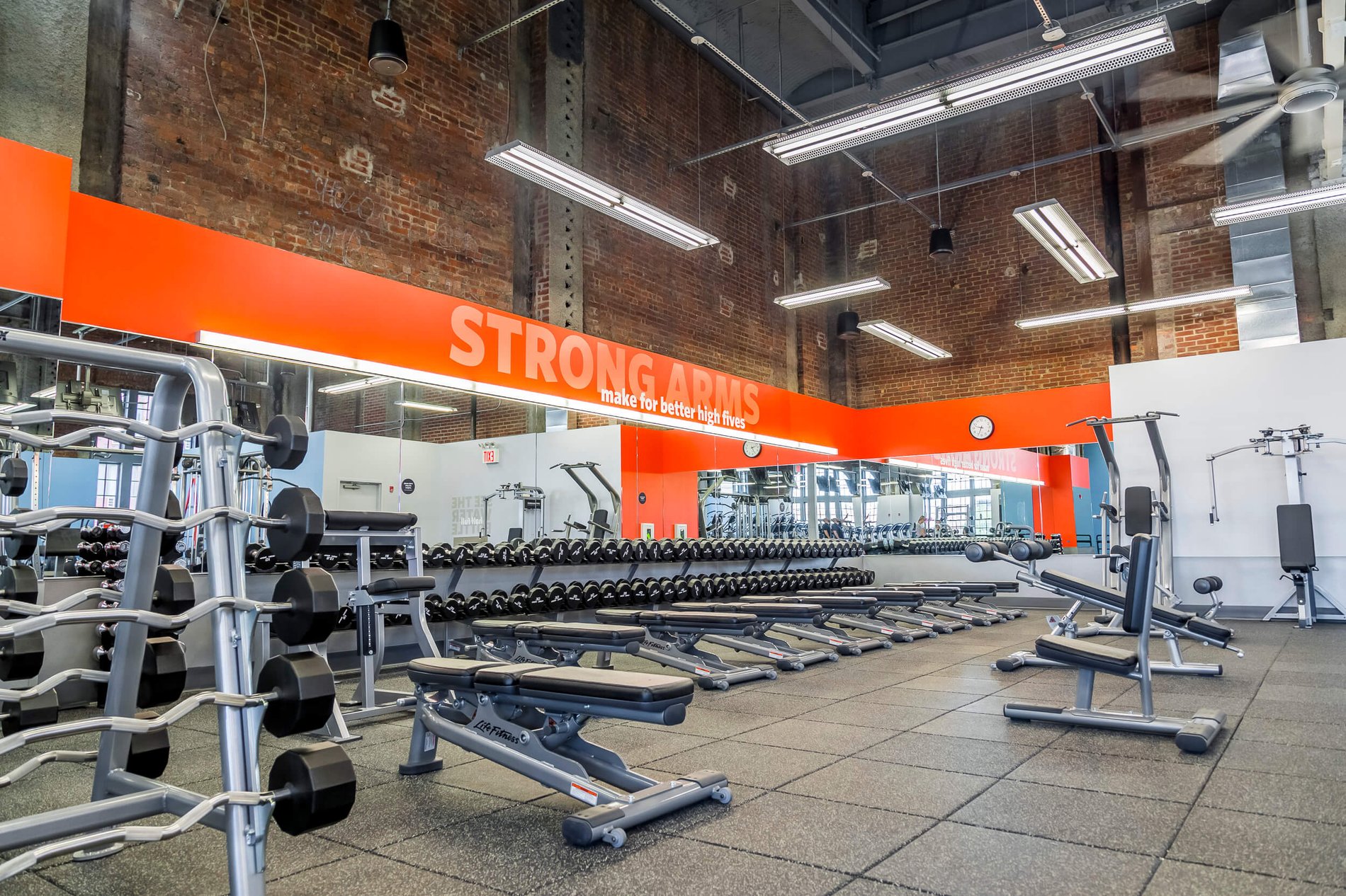 All Blink Fitness Gyms in NY cardio equipment, strength equipment, gym equipment, gym near me