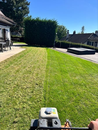 Thury Paysagiste & Services – Scarification de gazon et apport d’engrais à Froideville, canton de Vaud.