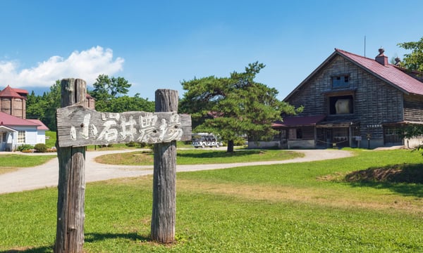 岩手 小岩井農場の夏景色