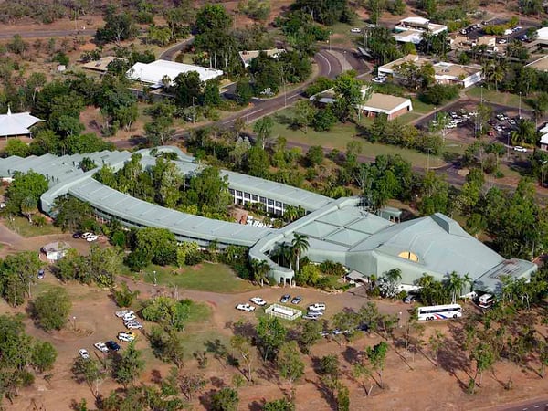 jabiru