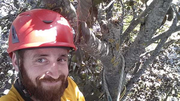 Ihr Ansprechpartner und Inhaber von Baumpflege-Gallusser, Dimitri Gallusser