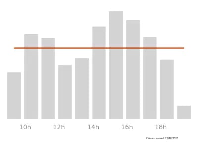 Voir le trafic sur Google maps https://maps.google.com/maps?cid=17575648914363103054